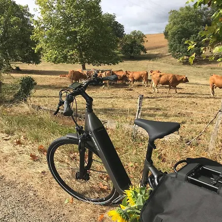 Ferienpark L'oustal Del Carlat Carla-Bayle