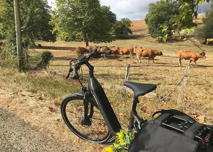 假日公园 劳斯塔尔德尔卡拉特酒店 Carla-Bayle