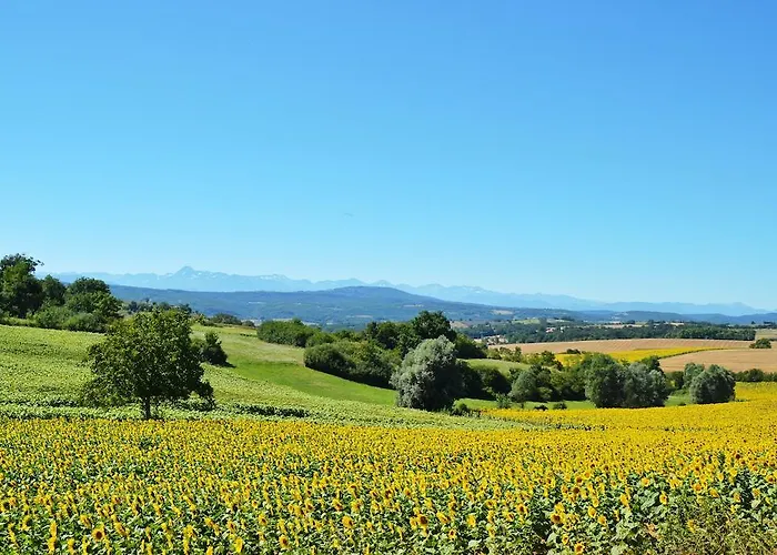 假日公园 劳斯塔尔德尔卡拉特酒店